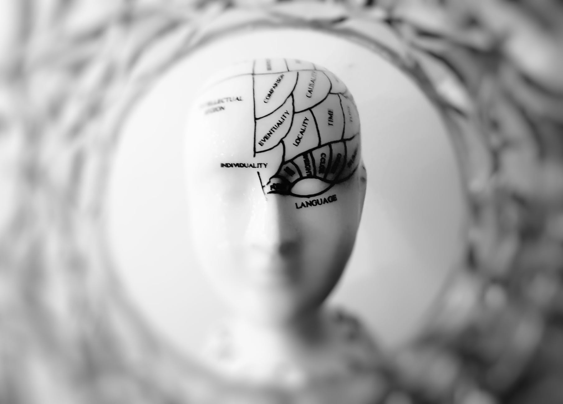 A metacognição e a construção de sentidos